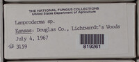 Image Associated With the Occurence